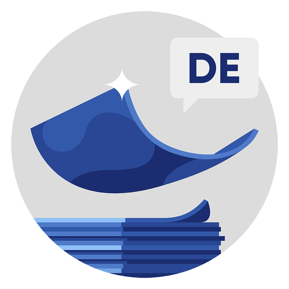 German Desk SSW Pragmatic Solutions